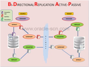 Oracle scn что такое